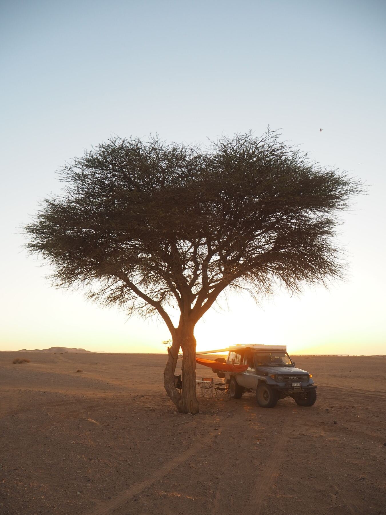 Camp mit Land Cruiser unter einem Baum